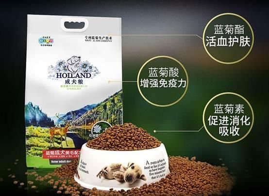盘点宠物市场上常见的狗粮品牌，买狗粮的时候不再盲目
