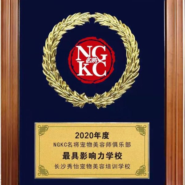2020年度影响力学校