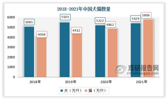 其中由于大城市里生活空间的限制、生活节奏的加快、年轻人“懒宅”的生活习惯等等，犬、猫是我国普遍饲养宠物。2021年我国猫的数量已经超过了犬，成为饲养最多的宠物。数据显示，2021年中国宠物猫的数量是5806万只，同比增长19.4%；犬的数量是5429万只，同比增长4%。