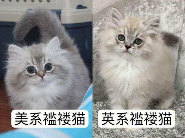 文章图片3