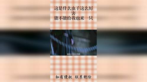 这是什么虫子这么厉害，能不能给我也来一只？