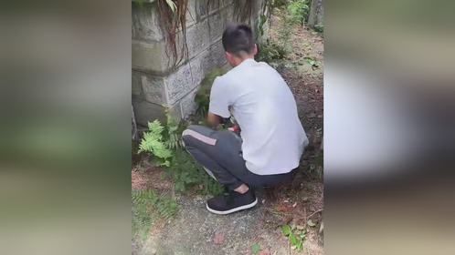 烈士墓群杂草丛生 男子自发组队清理打扫