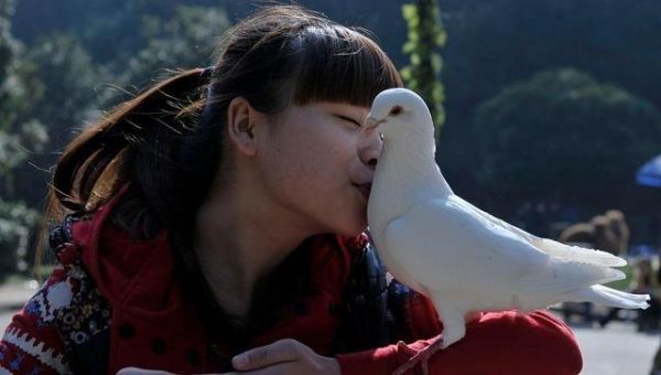 万物皆有灵，宠物亦如是，你真的懂你的宠物吗？