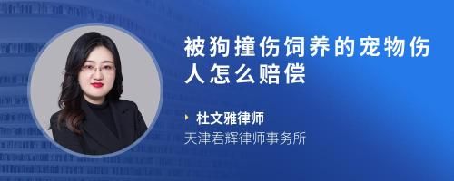 被狗撞伤饲养的宠物伤人怎么赔偿