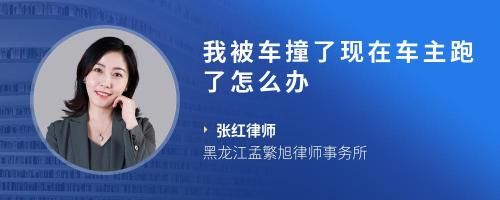 我被车撞了现在车主跑了怎么办