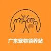 广东宠物站