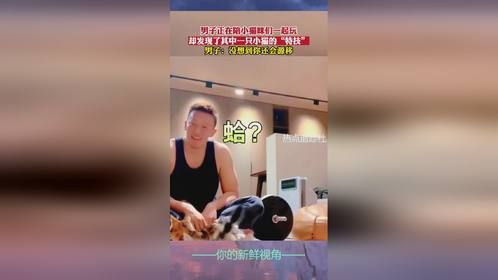 男子正在陪小猫咪们一起玩，却发现了其中一只小猫的“特技”！