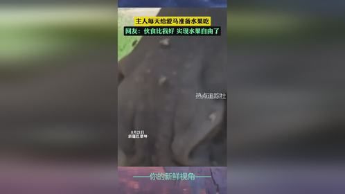 主人每天给爱马准备水果吃