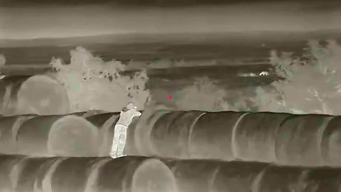 南达科他州奶牛场，农场狙击手一夜击毙65头郊外野狼…[哆啦A梦吃惊] 
