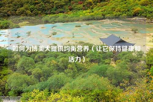 如何为博美犬提供均衡营养（让它保持健康和活力）