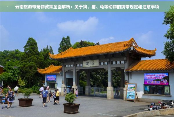 云南旅游带宠物政策全面解析：关于狗、猫、龟等动物的携带规定和注意事项