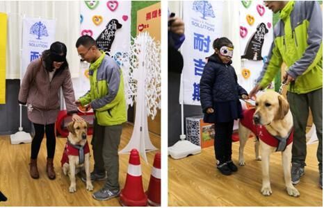 图3:热心人士与导盲犬互动