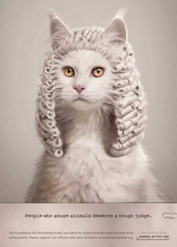 意间AI绘画小猫文案：揭秘猫咪魅力，打造独特视觉宴，激发创意灵感