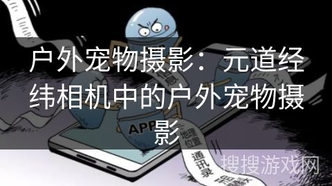 户外宠物摄影：元道经纬相机中的户外宠物摄影
