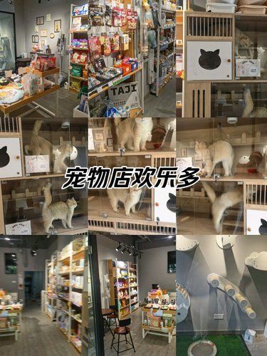 宠物店欢乐多