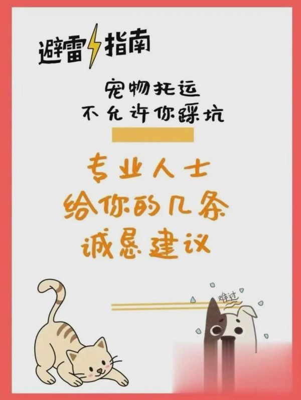 宠物托运, 2024年最新价格,全国任何城市我们都能到达。 宠物托运服务 宠物运输 全国宠物托运 我们托运也有五年经验啦,各种体系也十分的健全,以服务周到为首位,及时解决问题,有需要的友友可以联系我们吖 宠物托运专车提供服务: ✅全程空调,舒适宽敞 ✅喂水喂食,及时清理 ✅耐心照护,有不适情况,及时和主人联系 ✅我们也支持上门接送,多地直达,省心省力 ✨关于我们 ✅根据宠物情况和主人具体需求,提供定制方案 ✅宠物托运行业五年经验 ✅专业报价 ,价格合理 我们提供宠物托运方式 1.宠物空调专车 2.✈️单独空运 随机