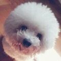 https://p1.meituan.net/userheadpicbackend/f8cb1791cc52150ad7e5d93111868a4d8000.jpg%40120w_120h_1e_1c_1l%7Cwatermark%3D0