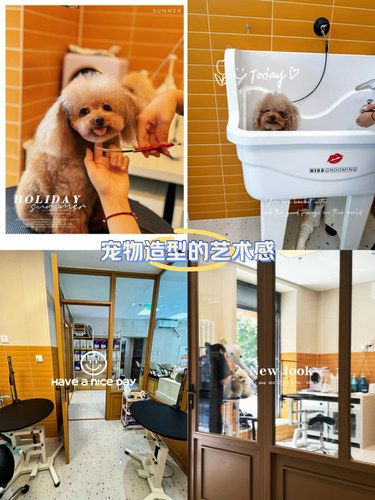 没错，就是我家的帅小伙[惊叹]洗完香香特别漂亮