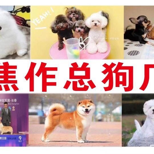 店主头像
