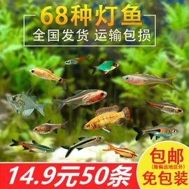 收纳架;收纳盒;收纳箱