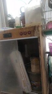 宠物保温箱养蜥蜴雏鸟蜜袋鼯龙猫等都可以，因为要去外地发展便宜