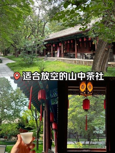 北京探店 | 换地刷手机系列之山中茶社
