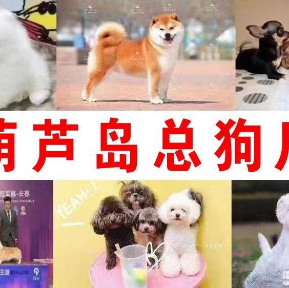店主头像