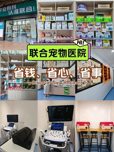 求推荐在深圳哪家宠物骨科医院最好❓❓❓