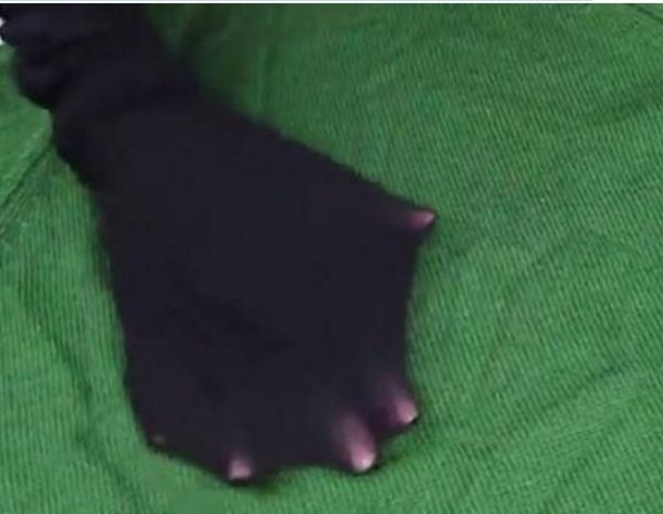 生活小窍门：猫狗宠物毛发总往衣服上粘，只需一只袜子就可以搞定