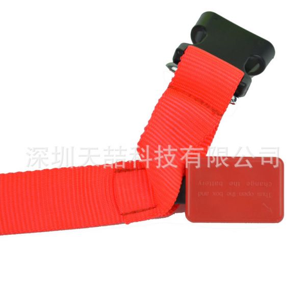 TZ-PET2110 Pure Color LED Flas