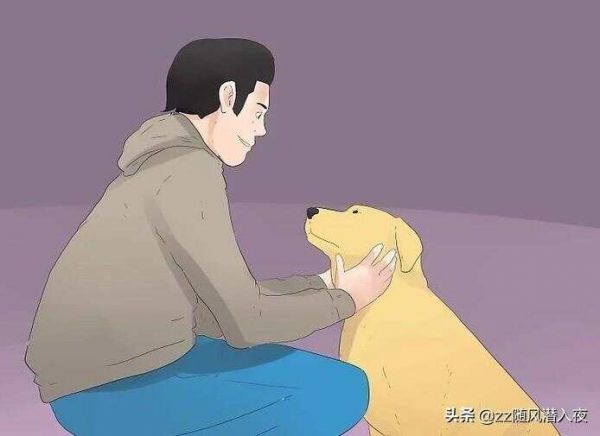如何和狗狗做朋友？（如何与狗相处融洽）