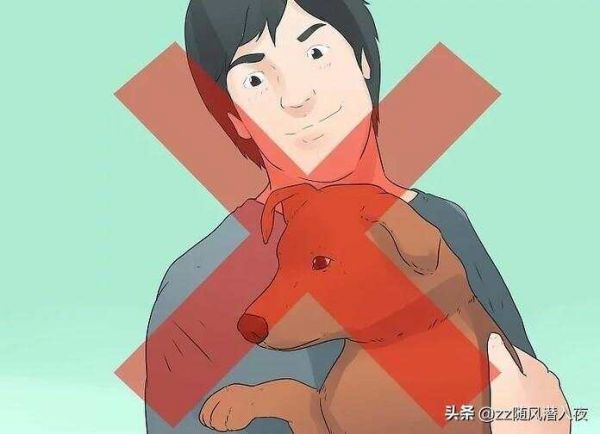 如何和狗狗做朋友？（如何与狗相处融洽）