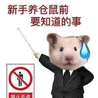 新手必看！养仓鼠秘籍大公开