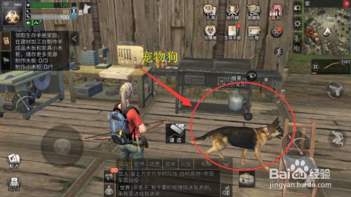 明日之后如何取回宠物背包的东西？