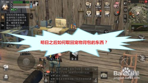 明日之后如何取回宠物背包的东西？
