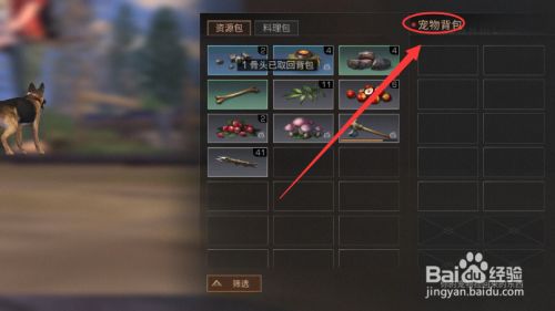 明日之后如何取回宠物背包的东西？