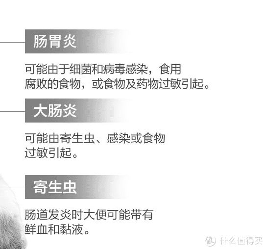 值无不言244期：数年铲屎官大力推荐，618狗狗用品囤货大全