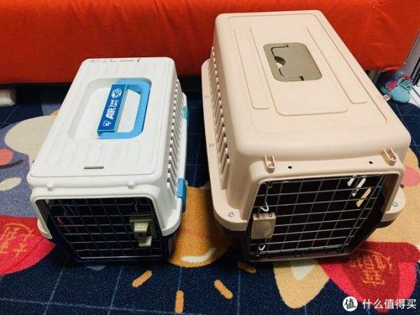 值无不言244期：数年铲屎官大力推荐，618狗狗用品囤货大全