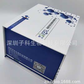 大鼠组织型纤溶酶原激活剂（t-PA）ELISA试剂盒
