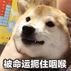 ▲ 图片来源于网络