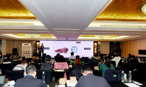 Advance研讨会现场