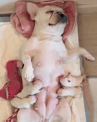 9061b88c8a5f3bda98758d8d2703d1ba.gif