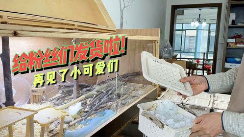 可爱的小鼠子再见了，今天要把一部分发给粉丝们，祝它们幸福