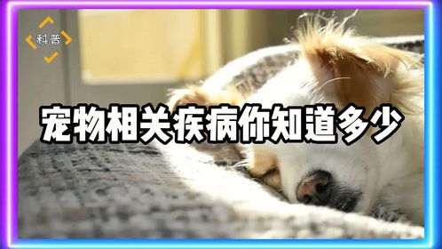 宠物相关疾病你知道多少？