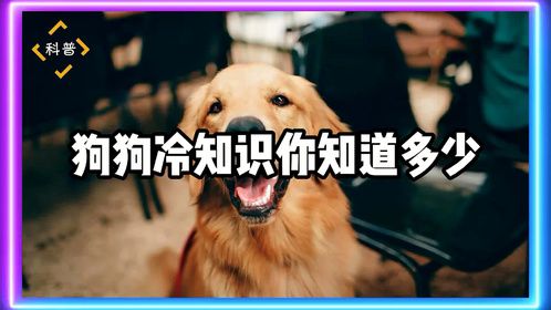 狗狗冷知识你知道多少？