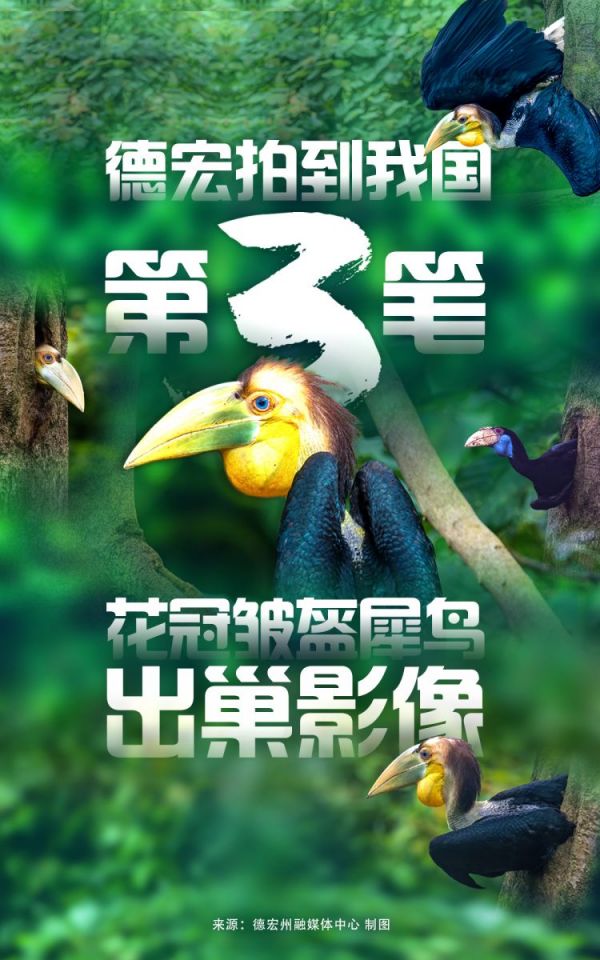 海报.jpg