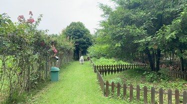狗狗们的乐园[打勾][打勾][打勾]