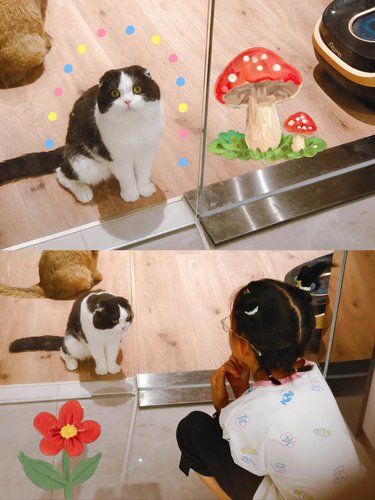 Hello！Pet❗️❤️