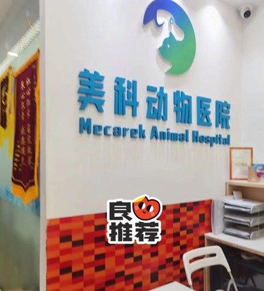 [胜利]爱它关心它，真开心