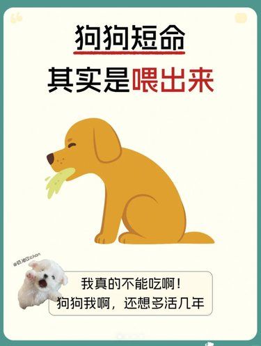 狗狗短命其实是喂出来的，你知道吗